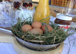 3000 Fruehstueck I M G 4946