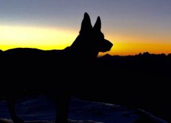 Sonnenaufgang I M G 7156